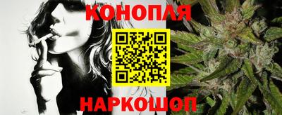 прущие грибы Заводоуковск