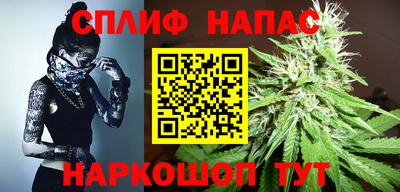 прущие грибы Заводоуковск