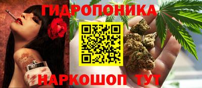 прущие грибы Заводоуковск